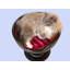 Lit pour chat Athaliah
