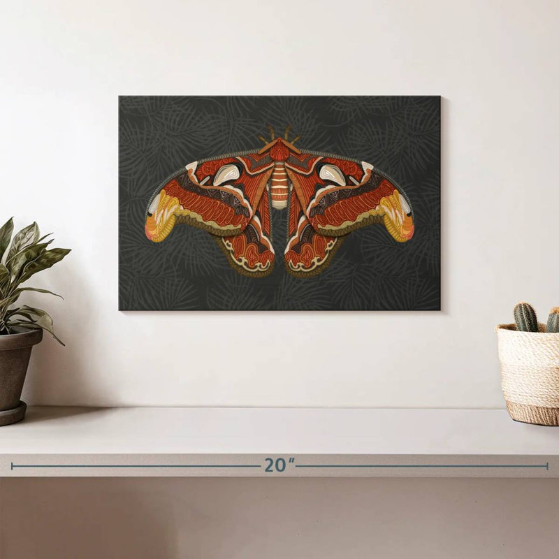 Brampt Atlas Moth Dark, 8" H x 12" W