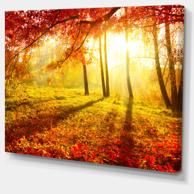 « Yellow Red Fall Trees and Leaves », reproduction de photo sur toile tendue