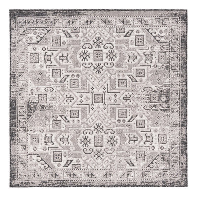 Alucard Indoor / Outdoor Rug