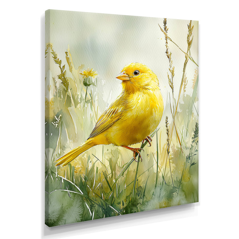 Goode - animaux, art mural sur toile, Toile tendue, Ne s’applique pas, H 20 po x l 12 po