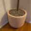 Customer photo 2 of 3