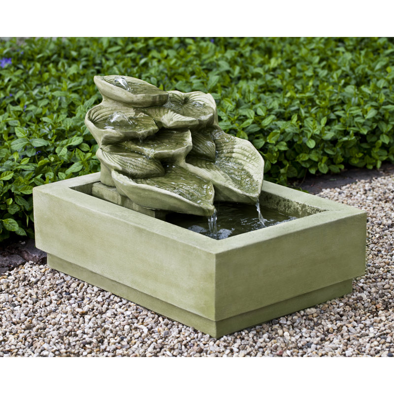 Fontaine en béton Hosta, Mousse anglaise