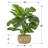 22'' Faux Philodendron Plant in Wicker/Rattan Basket