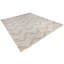 Chevron Area Rug in Ivory/Oatmeal