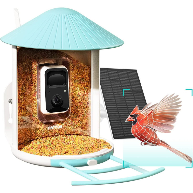 Birdfy Feeder AI By Subscription With Motion Detection Wireless Camera And Solar, Smart Bird Feeder for Outdoors, Blue