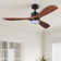 Calisse 52" LED Ceiling Fan with Light and Remote