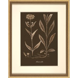 Sepia Leaves On Chocolate IV Painting