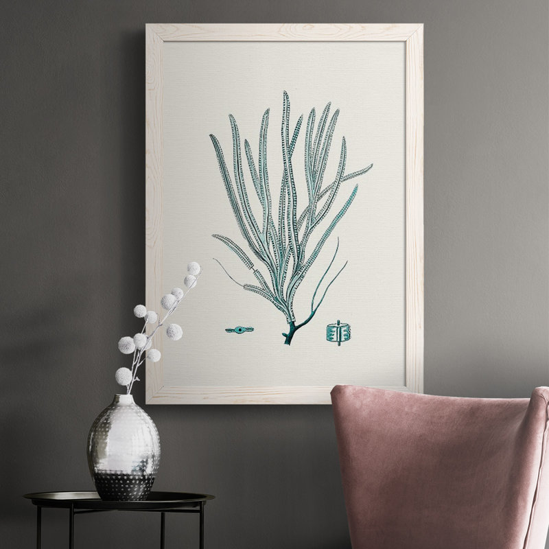 Heffron Antique Coastal Coral VII, reproduction d'art sur toile, H 37,5 po x l 27,5 po x P 1 po, Blanc