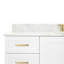 ARIEL TAYLOR 61 IN SINGLE RECTANGLE SINK VANITY-1010434425-1056577496-1056577499