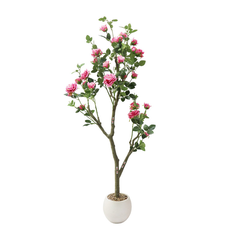Plant, 24cm H x 25cm W x 25cm D