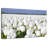 Alvord Endless White Tulips-111975671