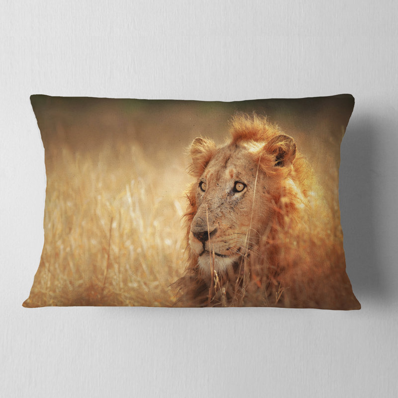Lion relaxant dans une prairie - Coussin décoratif à imprimé animal