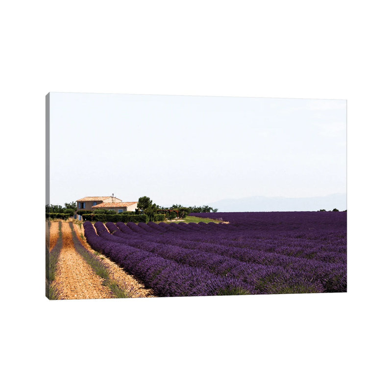 France Provence Lavande Field Pair II by Alexandre Venancio - Wrapped Canvas Print, 20.32 cm H x 30.48 cm W
