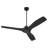 Kesslyn 52'' Ceiling Fan with LED Lights-364130365