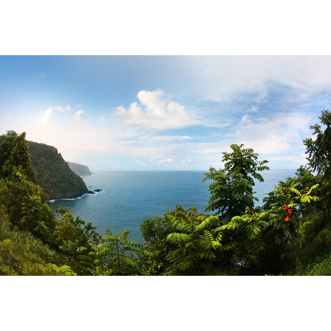 Straße nach hana maui hawaii