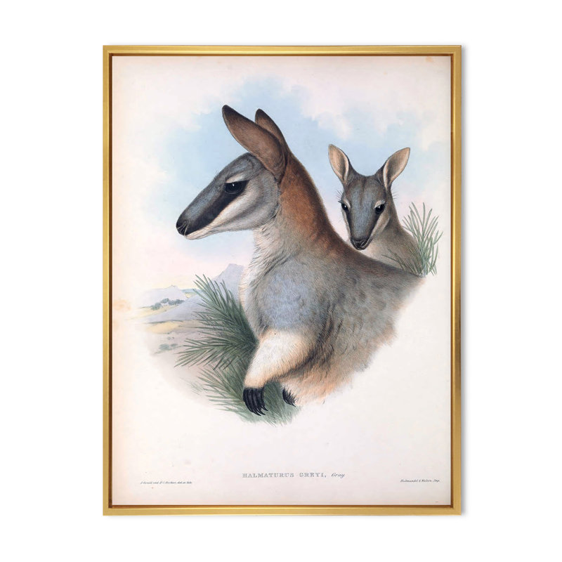 Kangourou rétro - peinture sur toile, H 32 po x l 24 po x P 1 po, Cadre flottant doré