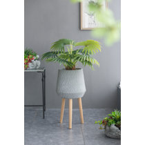 Shell Planter - Limited Abode
