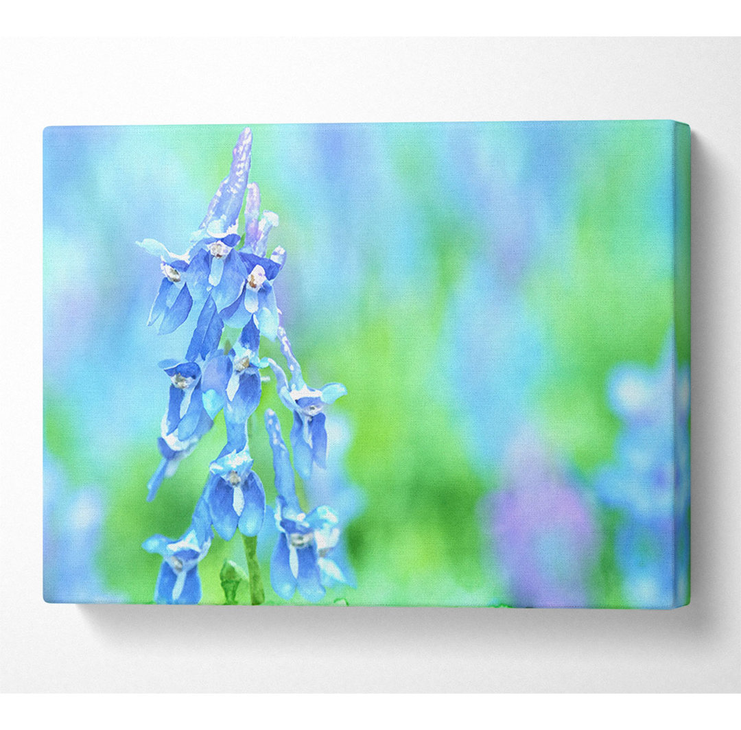 Soft Focus Kleine blaue Blumen - Kunstdrucke auf Leinwand