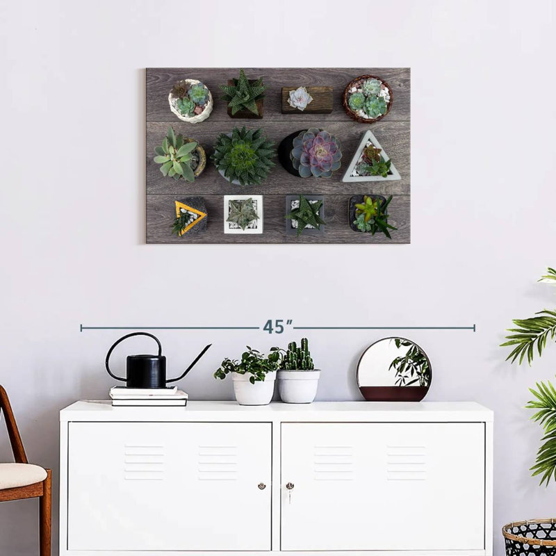 Harnek Assorted Succulents, 20" H x 30" W