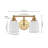 Lauder Iron/Frosted Glass Farmhouse Cottage LED Vanity Light-1981464512-1985817738