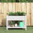 Raised Garden Bed-1413660573