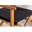 Padma Outdoor Patio Dining Armchair with Cushion