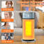 1500 watts 1500 po Chaufferette tour électrique en céramique avec humidificateur et flamme