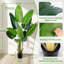 Plante artificielle 5,2 pi