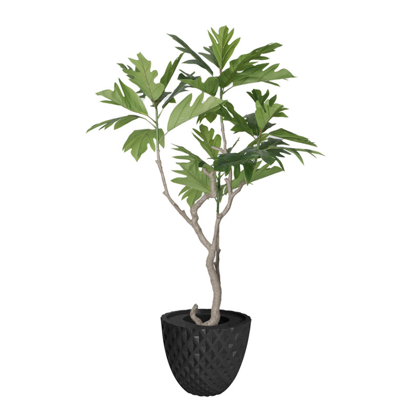 72.6'' Faux Fiddle Tree Tree in Pot