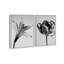 Peeking Flowers Set Set by Oliver Gal-351033432-351033447