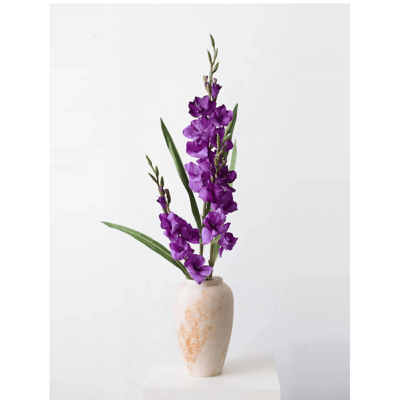 Tige de jardin glaïeul, Royal Purple Small, [A] 1 Stem
