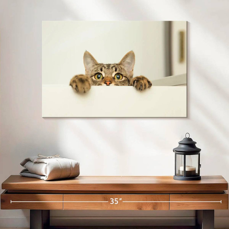 Peeking Young Cat, 16" H x 24" W