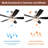 52-Inch Ceiling Fans with Lights, Pull Chain Control,  5-Walnut/Black Reversible Blades, Ceiling Fans for Bedroom and Living Room
