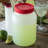 Carlisle Food Service Products Circle Food Storage Container
