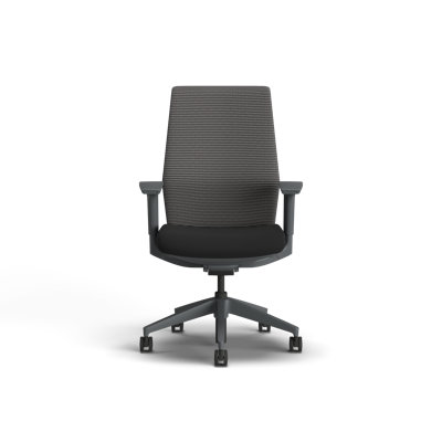 HON Cipher Mesh Ergonomic Office Chair, Charcoal Frame, Black