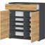 Elise 20 Pair Shoe Storage Cabinet