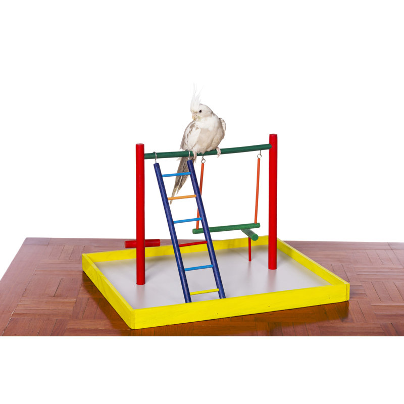 Aire de jeu Chazity Cockatiel Court