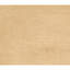 Hand Knotted Area Rug in Gold