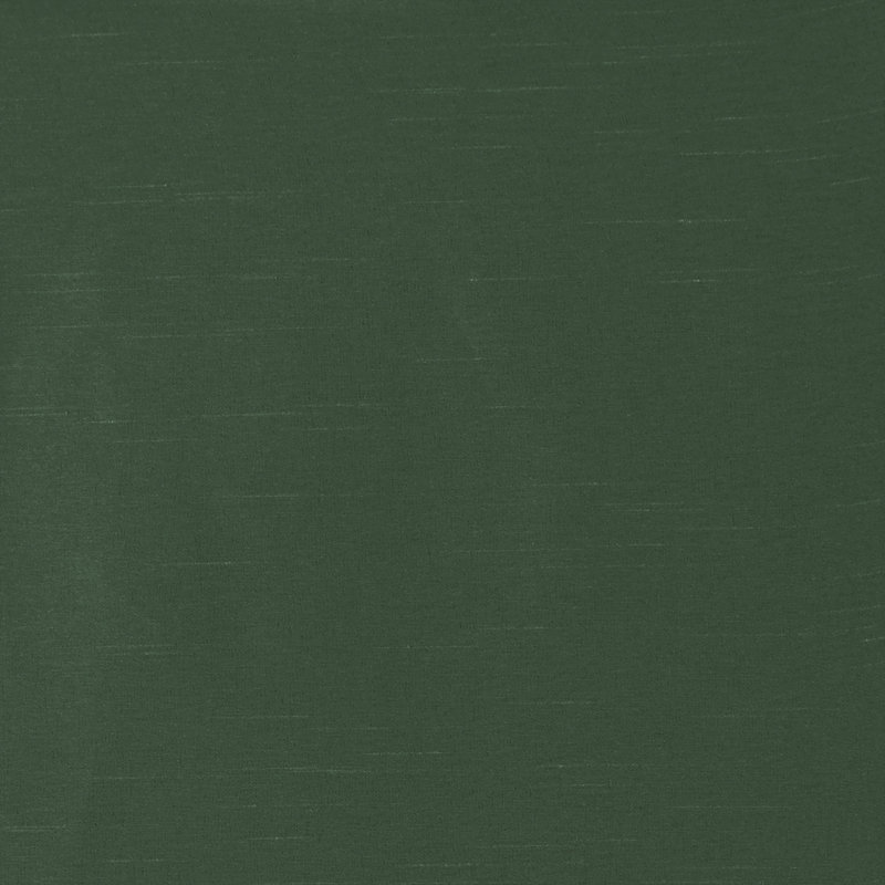 Panneau de rideau de fenêtre Twist Tab, Vert, L 50 po x L 84 po