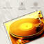Lecteur de disque vinyle Abarca-107672837