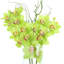 Vase Orchidée