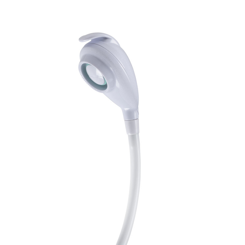 Handheld Shower Head