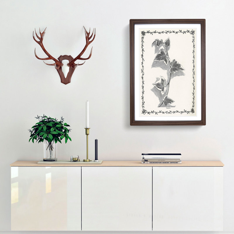 Ivy Marginata by Shirley Hibberd - Framed Print, Walnut Framed, 87cm H x 62cm W x 2cm D
