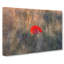 Red Poppy Flower - Wrapped Canvas-56637625