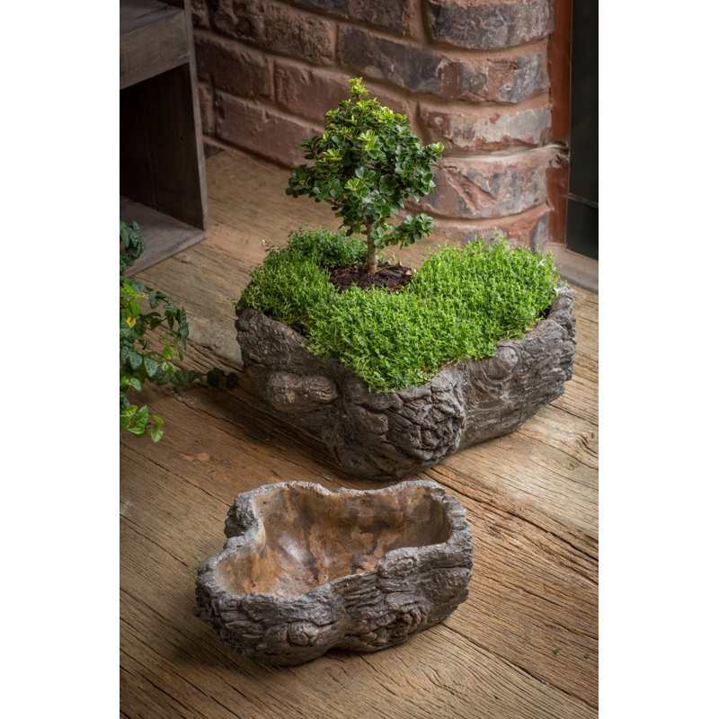 Cahoon Statue Planter, 3.5" H x 8.63" W x 6.38" D