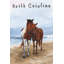 «Beach Horse», reproduction d'art sur toile tendue-579646862