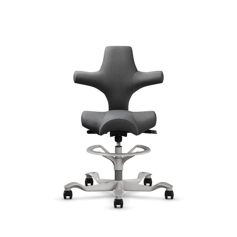 Fauteuil réglable en hauteur avec repose-pieds HœG Capisco, Argent argent, Gray Dove