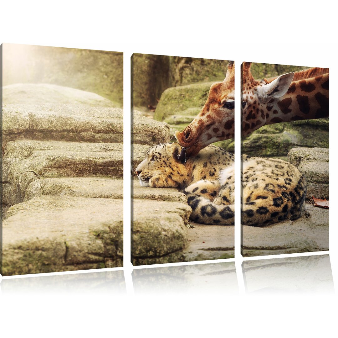 3-tlg. Leinwandbilder-Set Kuschelnder Leopard und Giraffe, Fotodruck