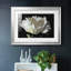 WHITE PEONY - Cadre avec cadre biseauté et verre biseauté-1693692373-1693692372
